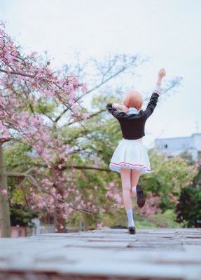 538AV视频_BD在线手机播放